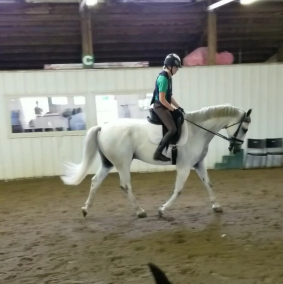 Meet your Posher, Emma 🦄 - Picture 2 of 2